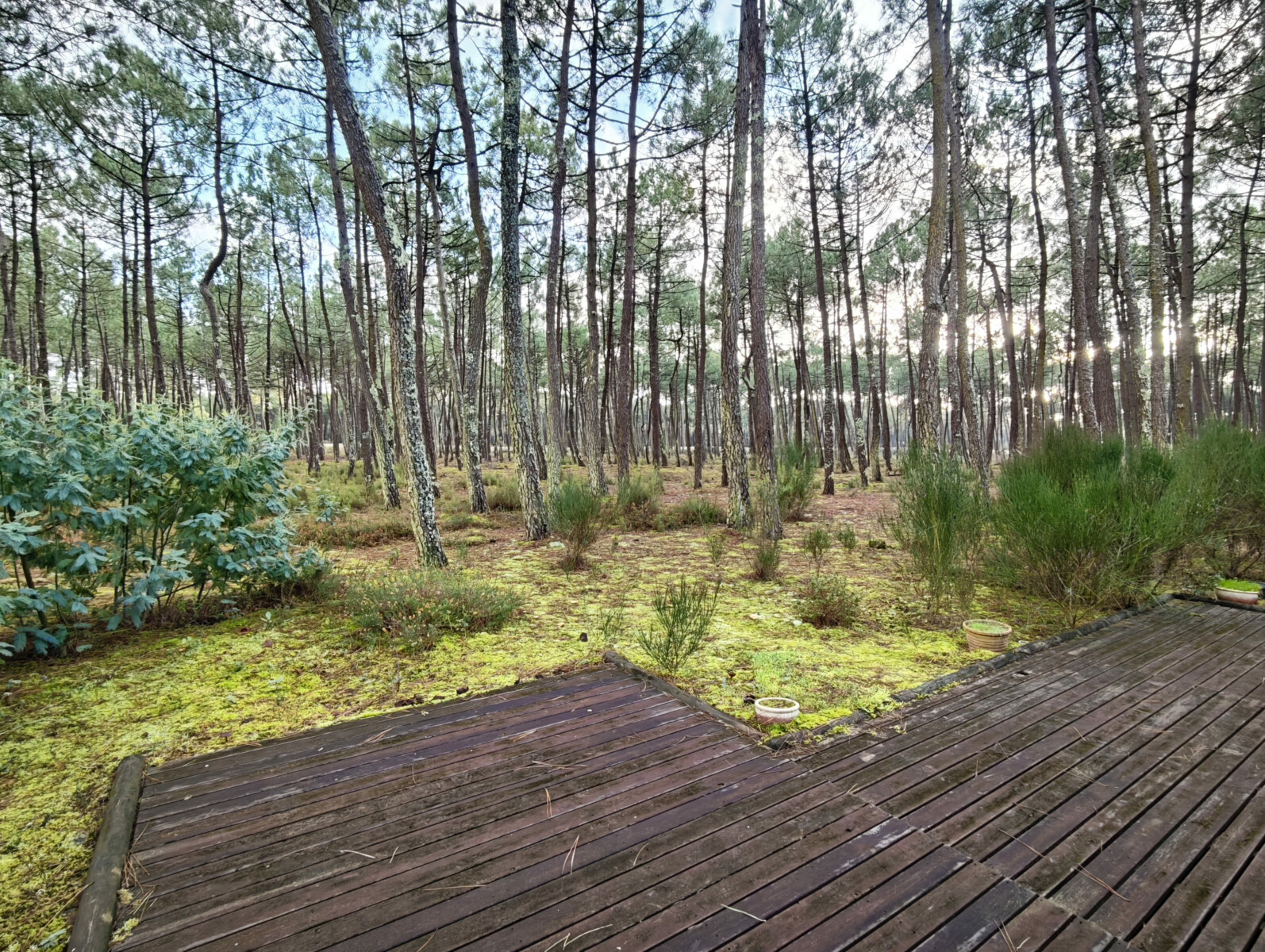 Euronatimmo - 5 Nouvelle Calédonie - emplacement Euronatimmo - 5 Nouvelle Calédonie - emplacement